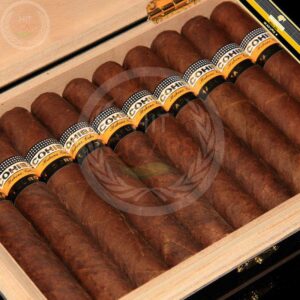 Cohiba Maduro 5 Genios (Doos van 10) - HitCigars