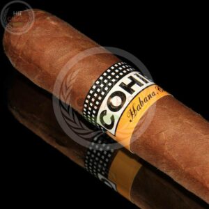 Cohiba Siglo II (5x5 Packs) - HitCigars