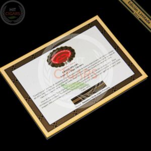 Hoyo De Monterrey Grand Epicure Edicion Limitada 2013 - HitCigars