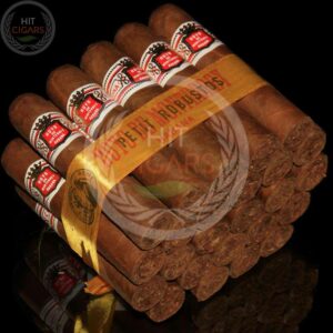 Hoyo De Monterrey Petit Robustos - HitCigars