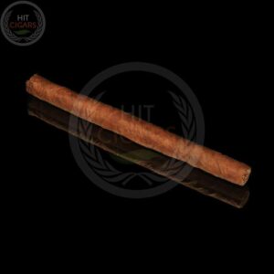 Partagas Mini 20's 🍂 ‣ Duty Free Price ‣ Only 11€👍