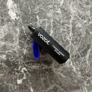 Vozol Gear 10000 Forest Berry Storm